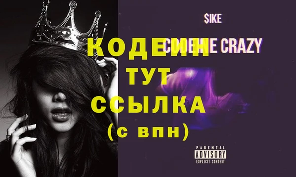 стаф Гусь-Хрустальный