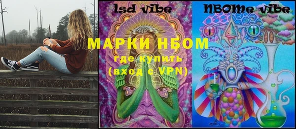 стаф Гусь-Хрустальный
