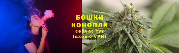 молекула духа Горно-Алтайск